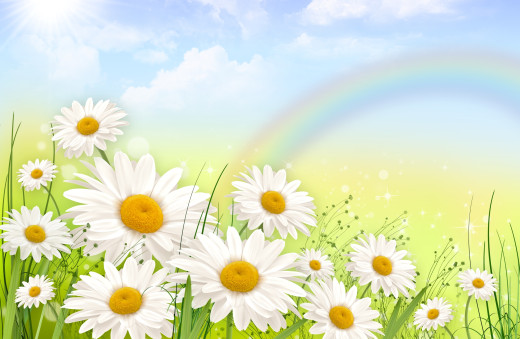 972134 (a): :3000x1953